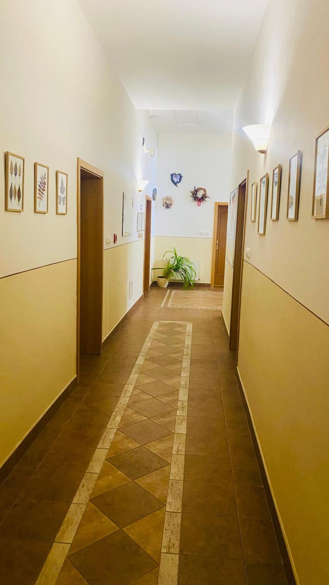 Penzion Cerny Kun Hradec Králové Exterior foto